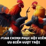 da-ga-uu-diem